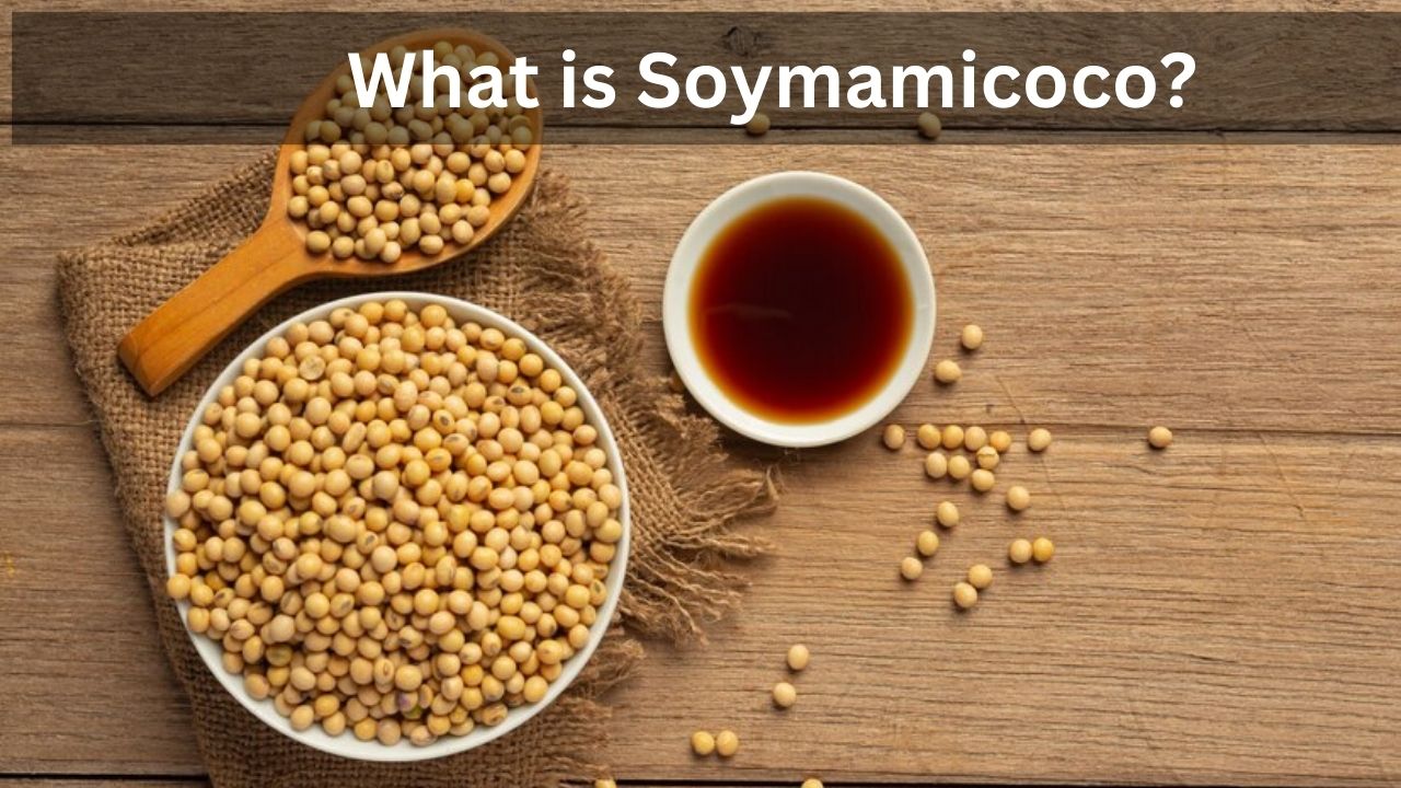 What is Soymamicoco?