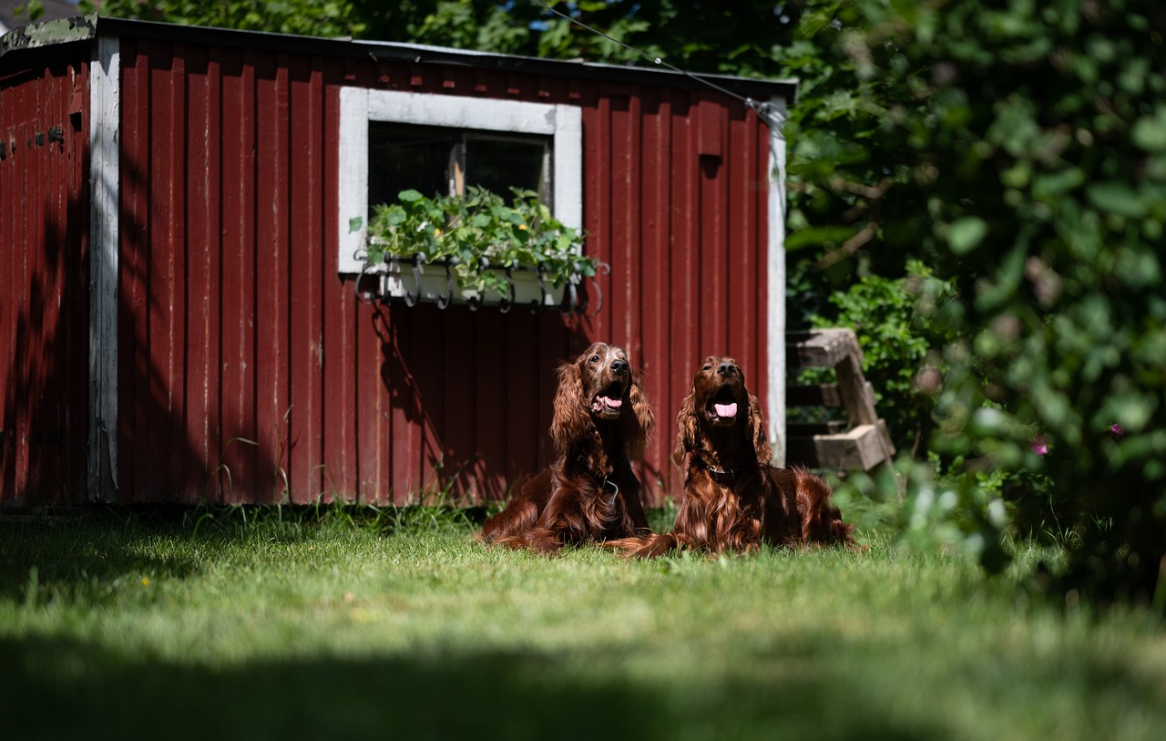 Here's How to Keep Your Yard Beautiful Without Breaking the Bank