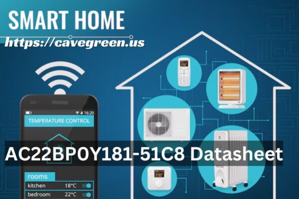 AC22BP0Y181-51C8 Datasheet