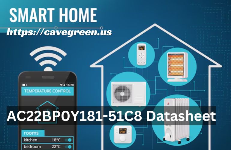 AC22BP0Y181-51C8 Datasheet