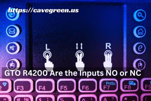 GTO R4200 Are the Inputs NO or NC