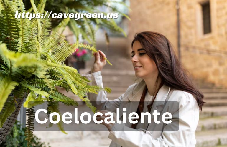 Coelocaliente