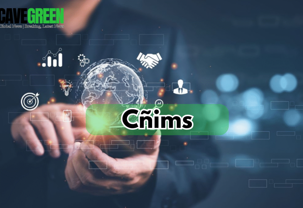 Cñims Explained: The Complete Guide to Intelligent Systems, Data Optimization, and Future-Ready Innovation