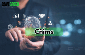 Cñims Explained: The Complete Guide to Intelligent Systems, Data Optimization, and Future-Ready Innovation